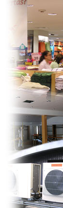 Servicios